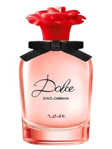 la rose parfum dolce gabbana|Dolce & Gabbana red perfume fragrantica.